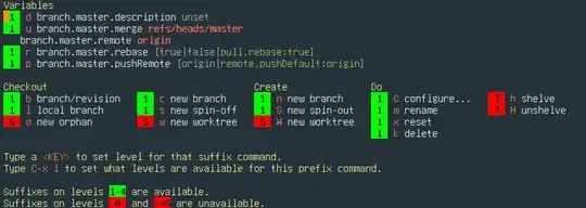 screenshot of magit-branch transient after calling transient-set-level