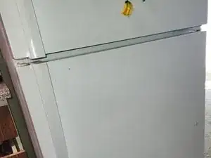 1WuWUYvylVVxABXy