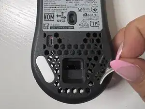 CVKB5ZPyqjThmVeU