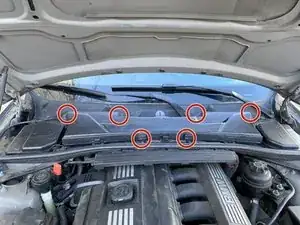 DZjN6gSXGcFZyxaw