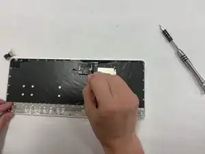 TUsPFRSLyotP1A2u