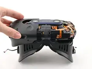 Outer Shell Removal