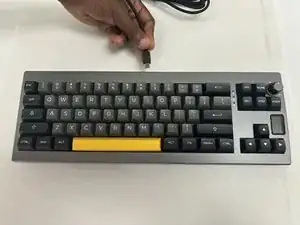 XleCqybEWUTbFgLx