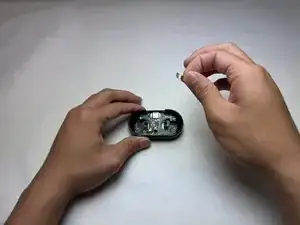 eSKROymGWjZXMorH