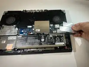 nwTpugWoevOYXair