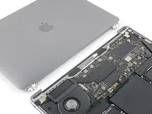 Display Assembly