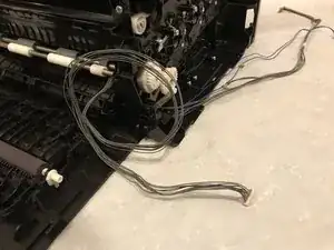 trWlc66SlTkmOWRR