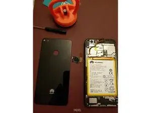 uoBmdtT1l1BN3v41